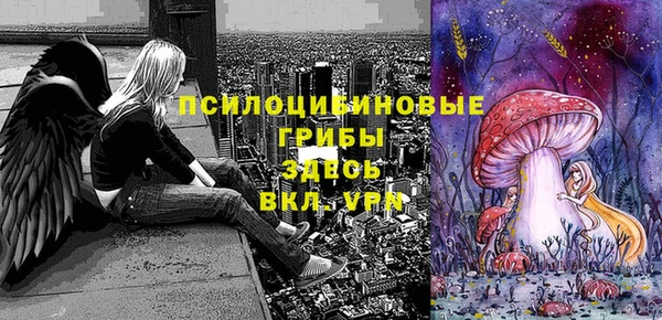 крисы Алагир