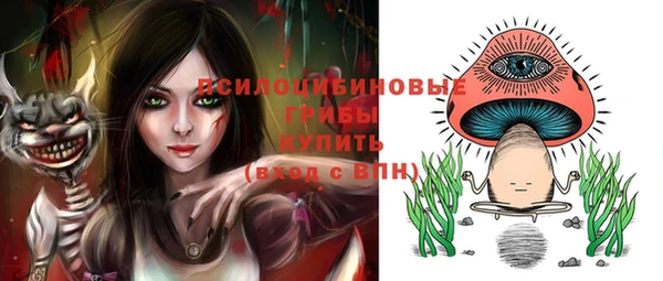 стафф Аксай