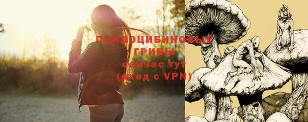 дурь Горно-Алтайск