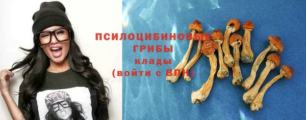 дурь Горно-Алтайск