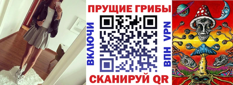 Псилоцибиновые грибы Psilocybine cubensis  сайты даркнета наркотические препараты  Завитинск 