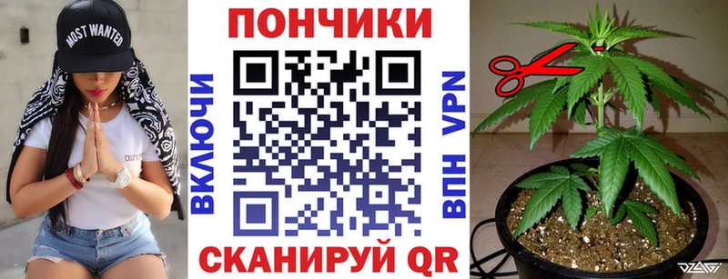 Канабис SATIVA & INDICA  цена наркотик  Завитинск 